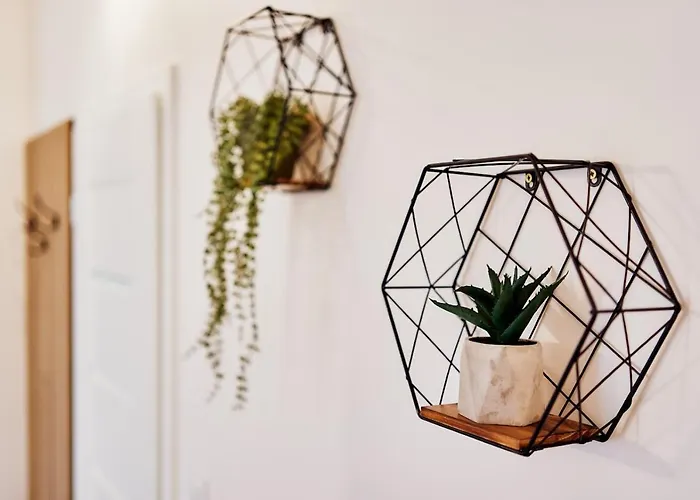 Apartment Laguna 54 *